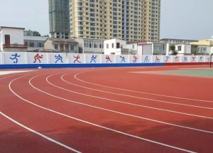 塑膠場地廠家